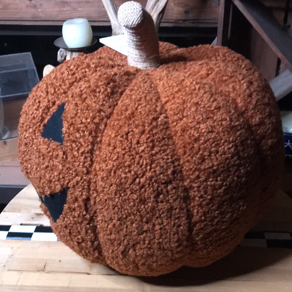 Pottery Barn Cuddly and Cute Spooktastic Jack-O-Lantern Pumpkin Pillow 🎃… - Picture 9 of 16